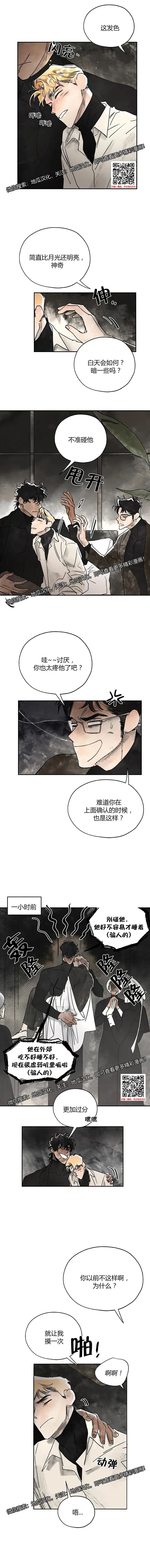 章节图片
