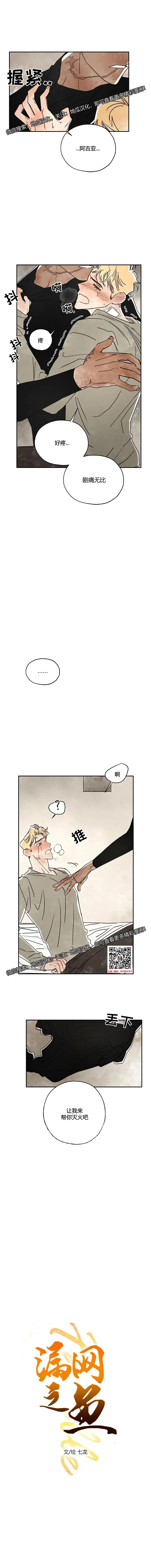 章节图片