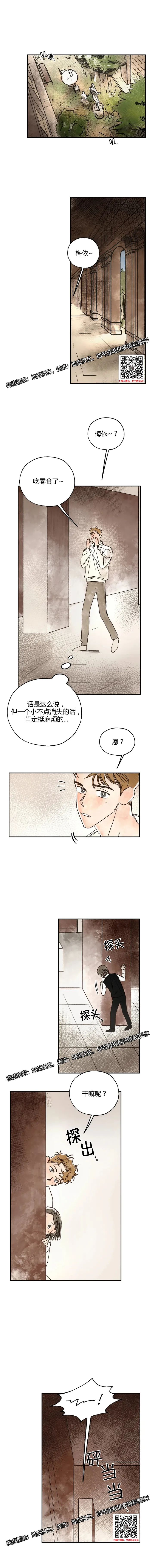 章节图片
