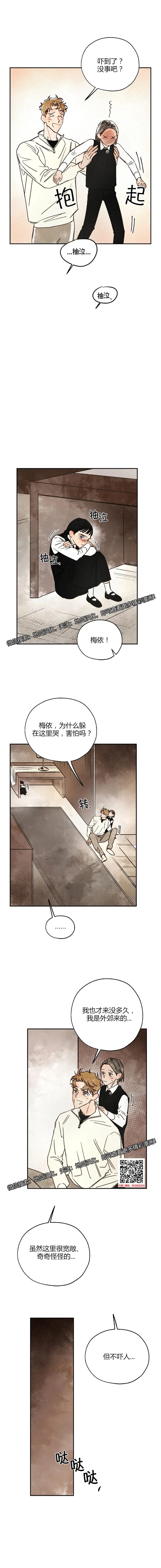 章节图片