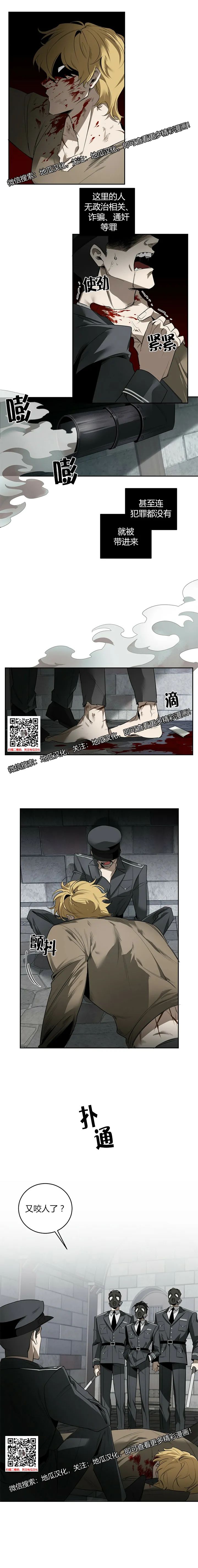 章节图片