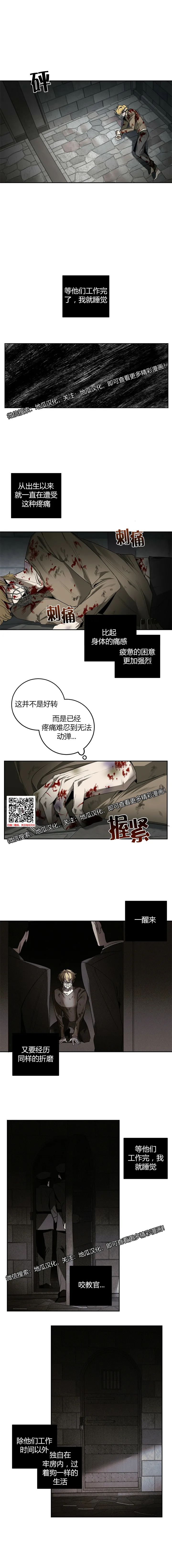 章节图片