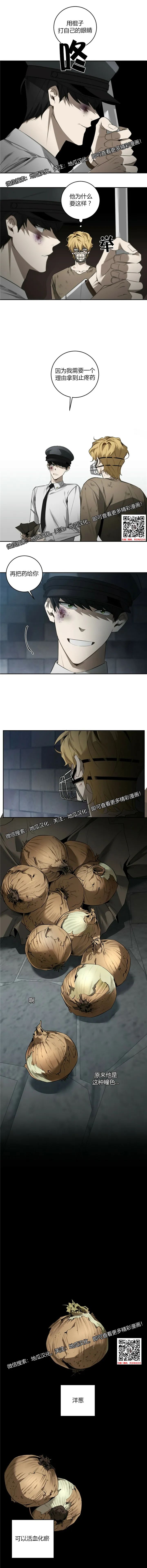 章节图片
