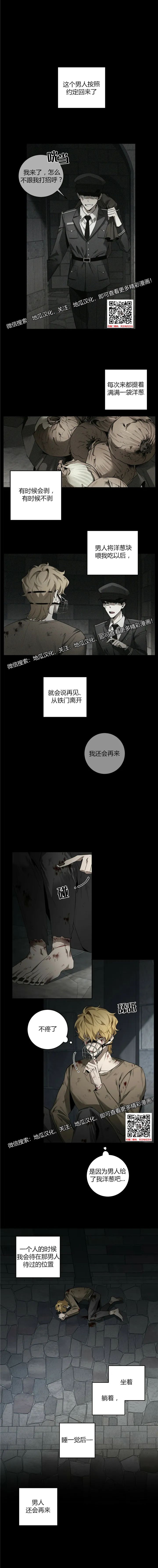 章节图片