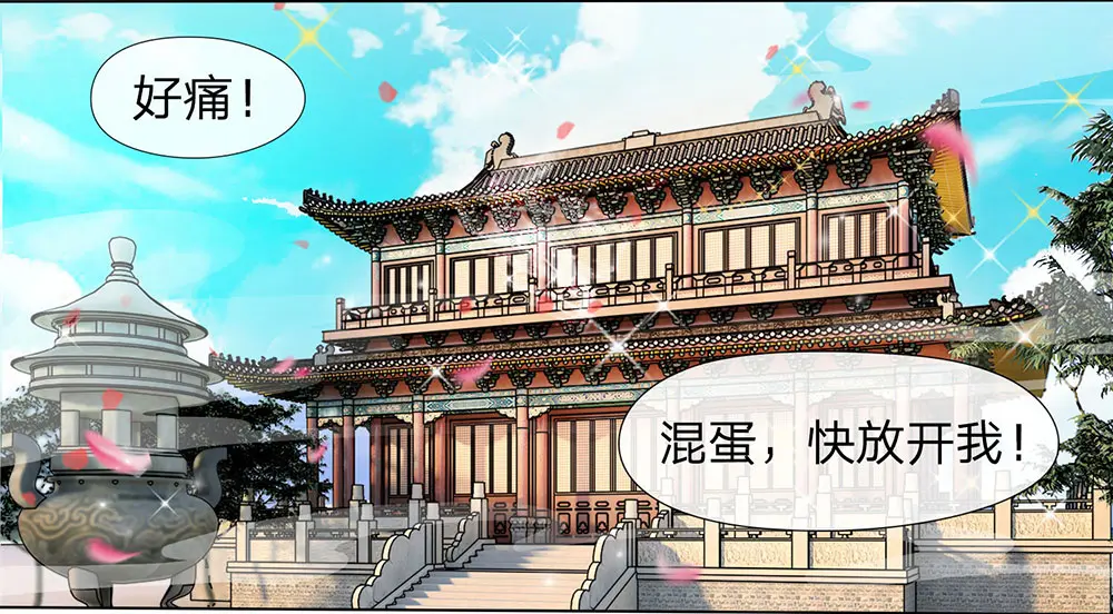 章节图片