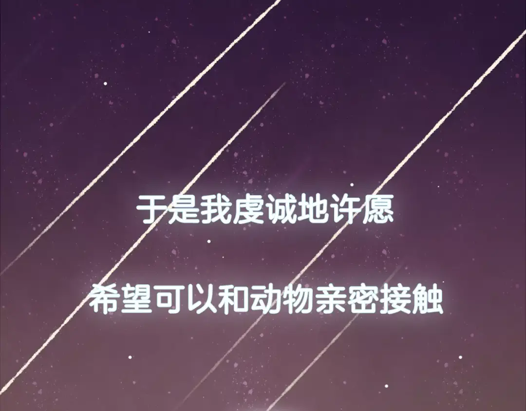 章节图片