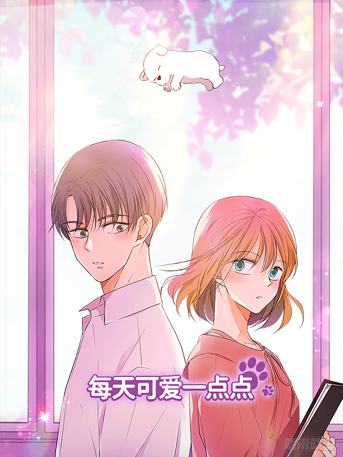 章节图片
