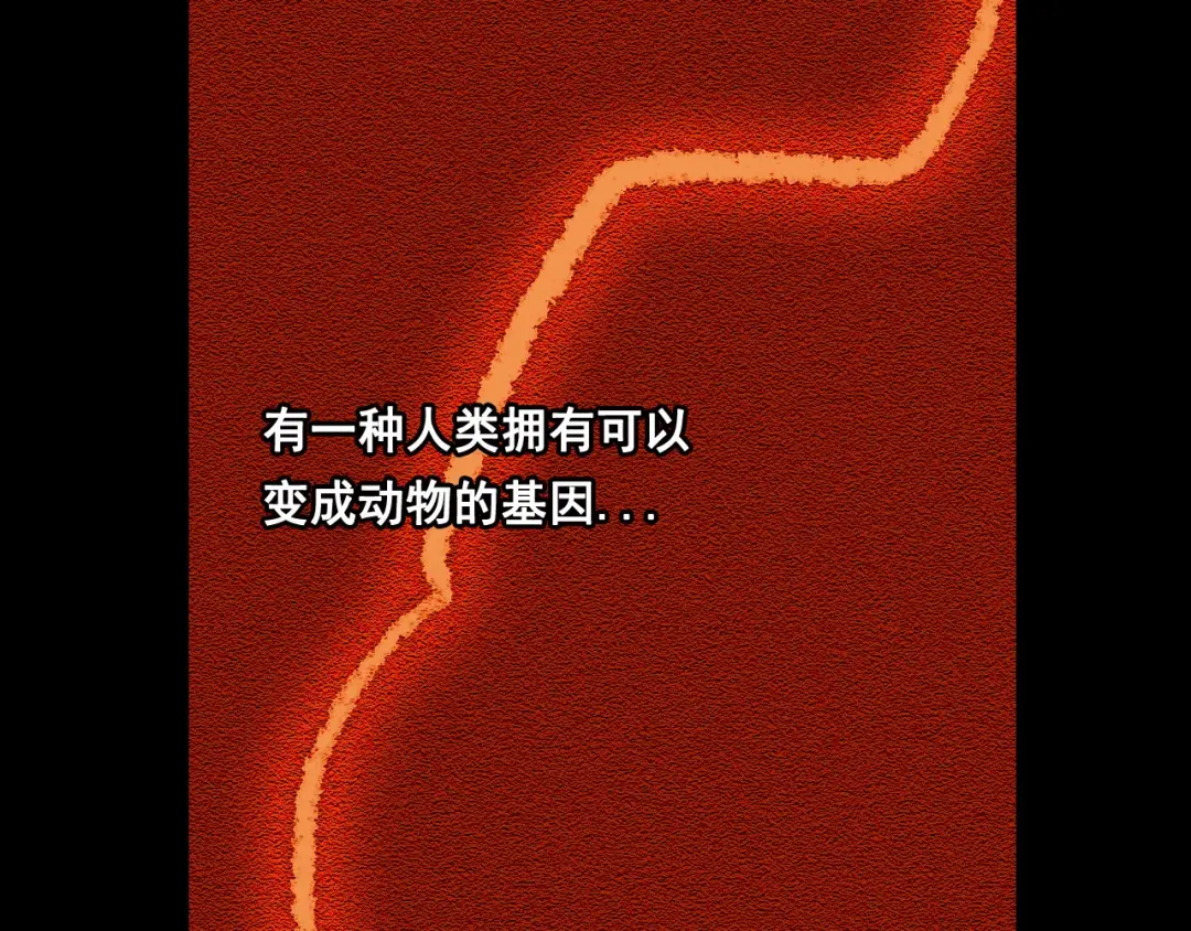 章节图片