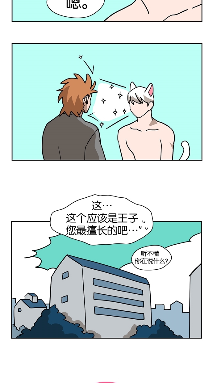 章节图片