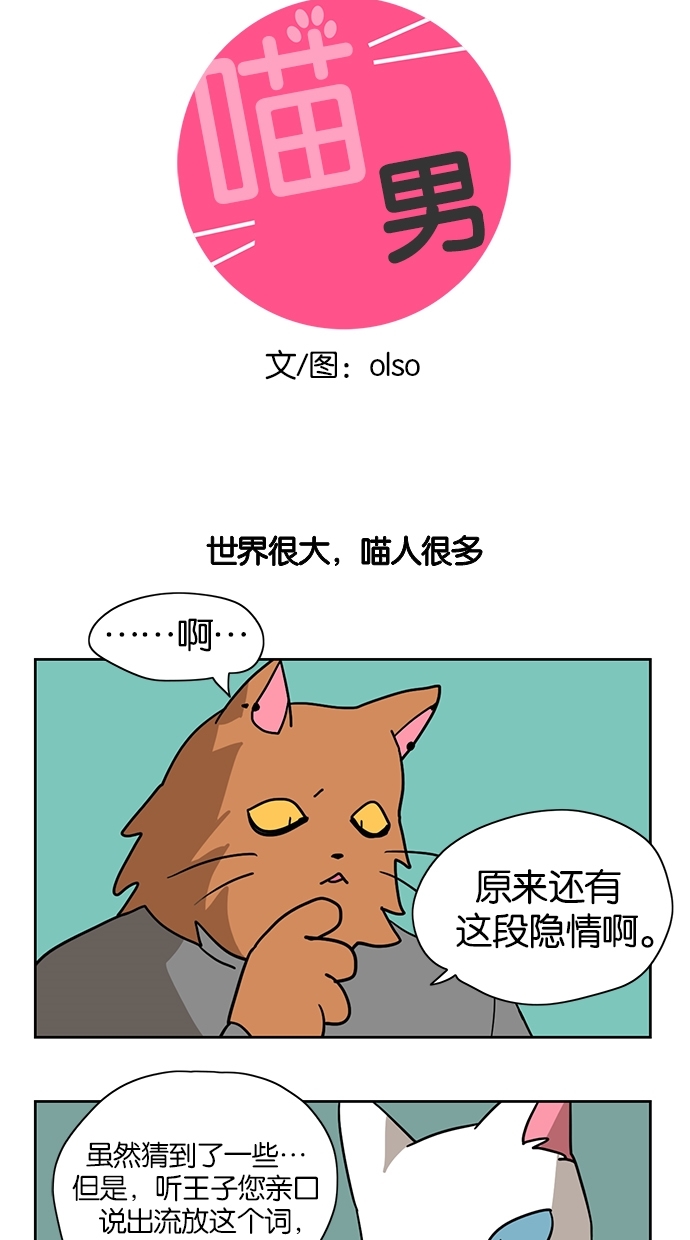 章节图片