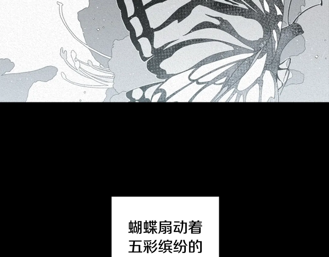 章节图片