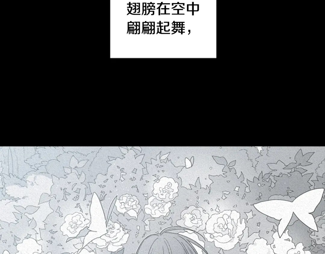 章节图片