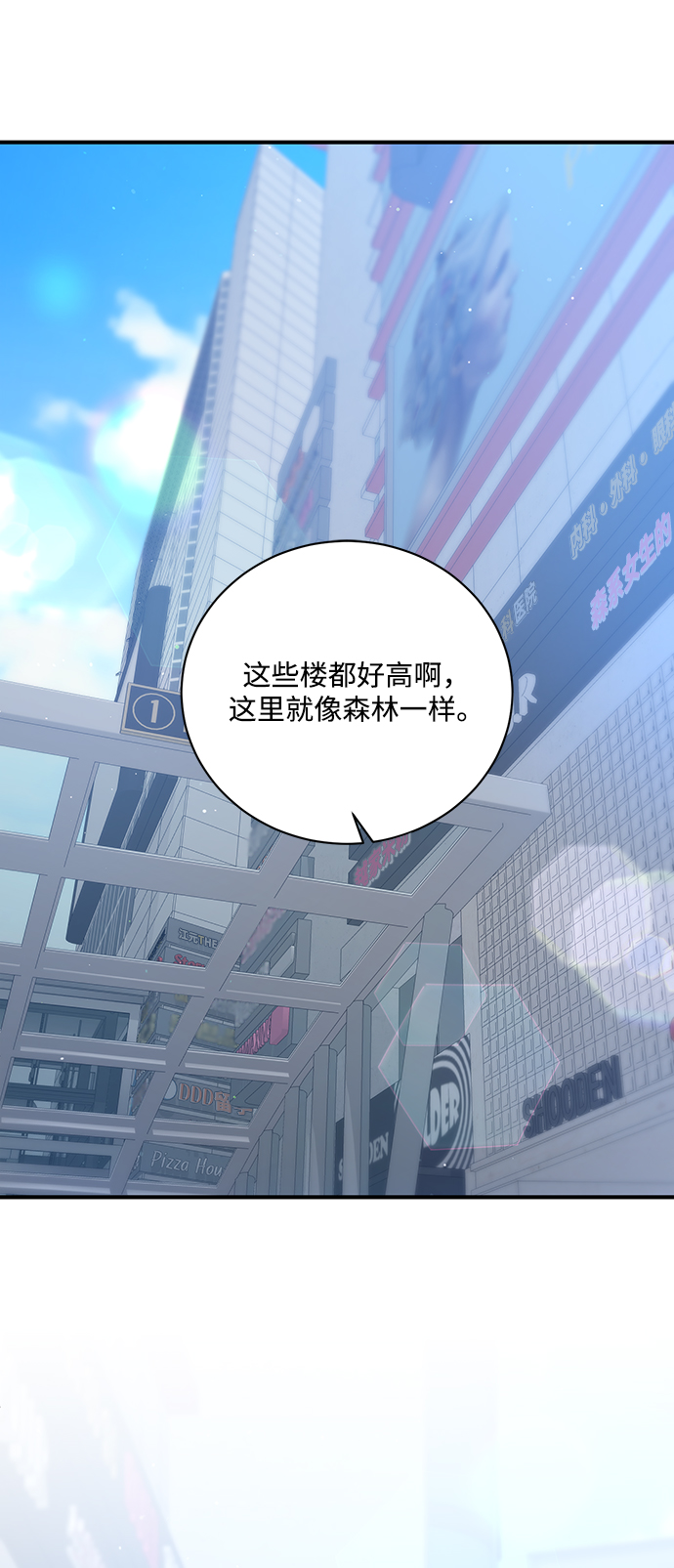 章节图片