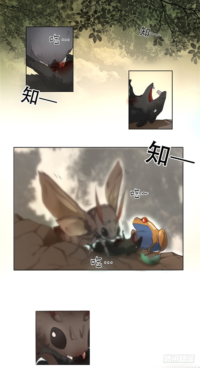 章节图片