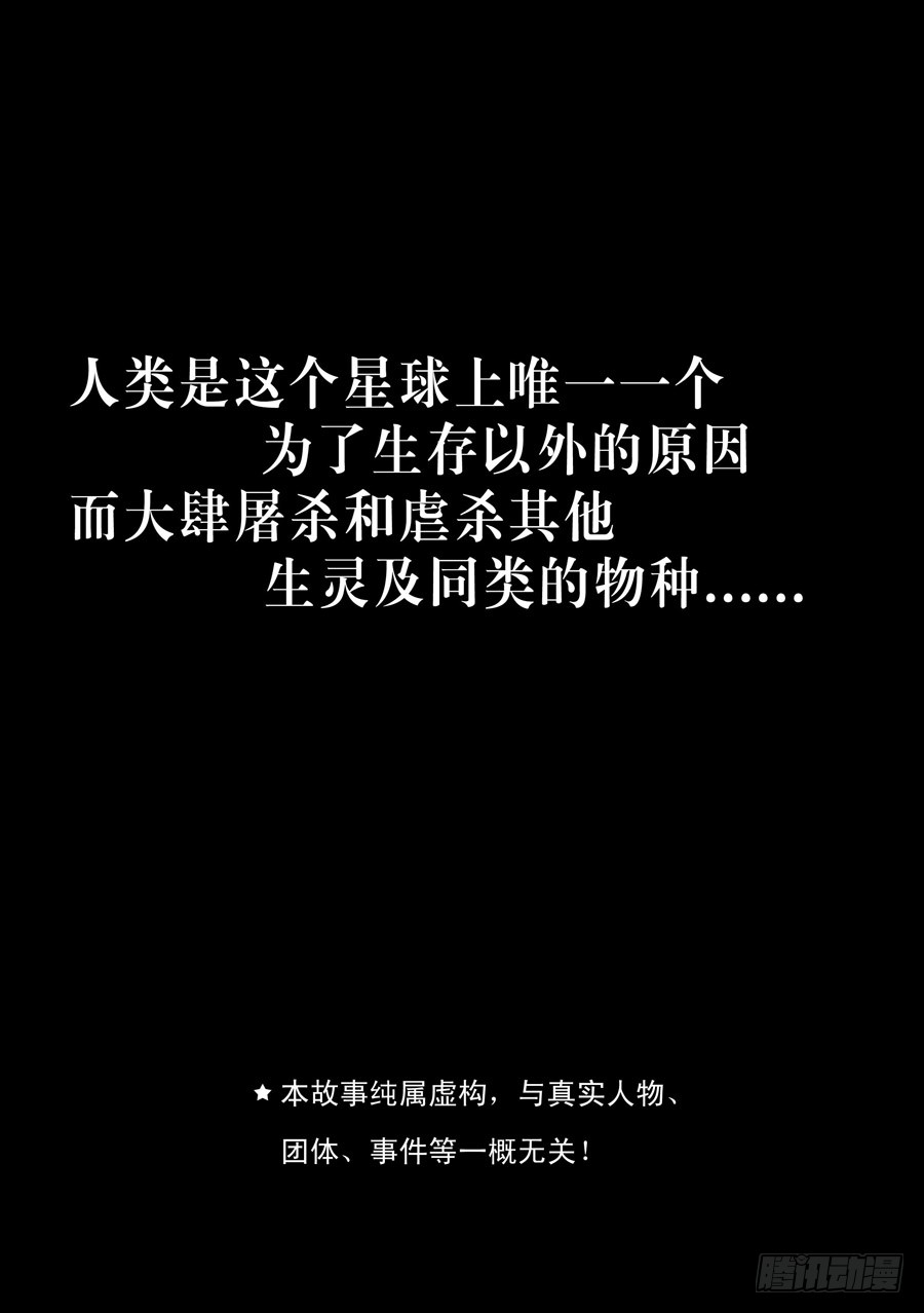 章节图片