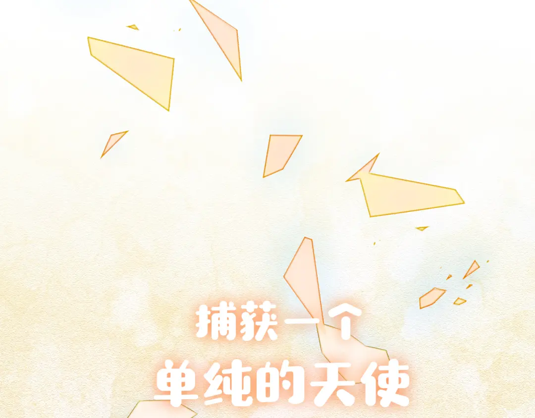 章节图片