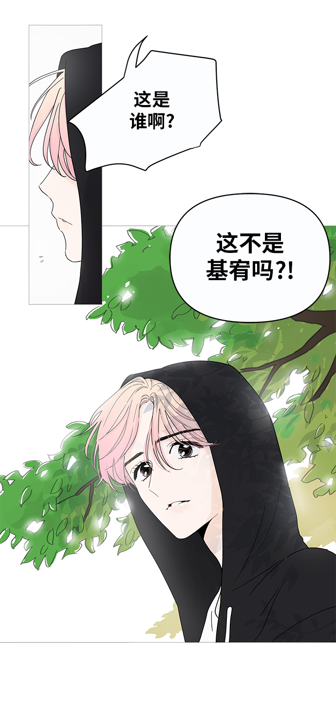 章节图片