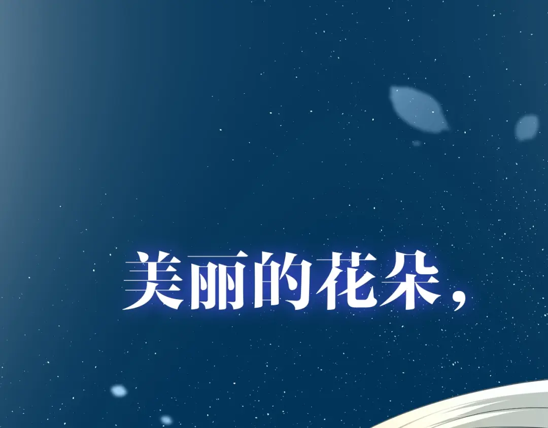 章节图片