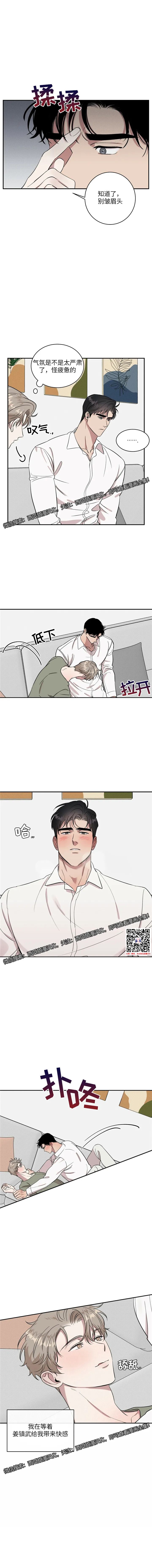章节图片
