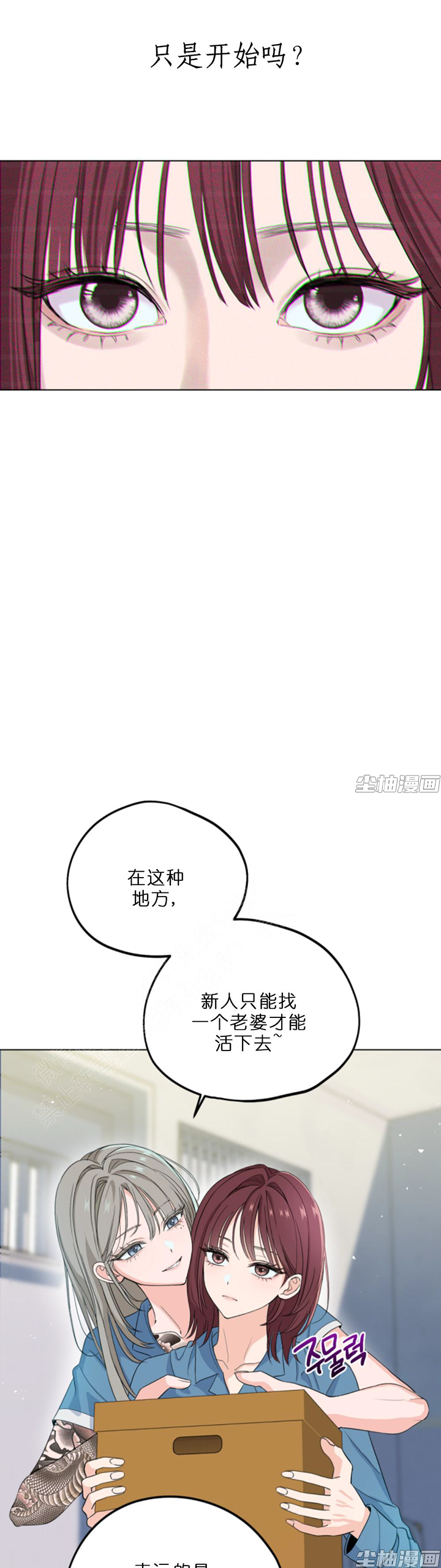 章节图片