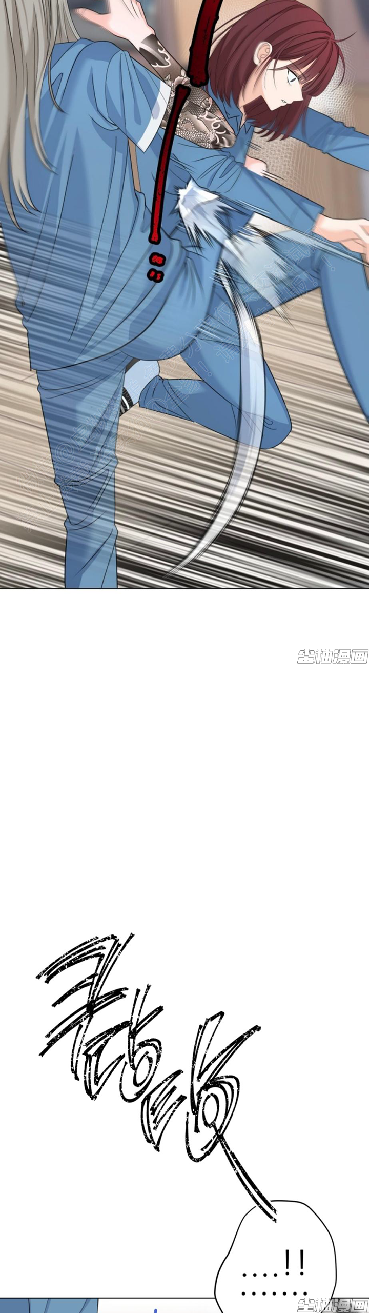 章节图片