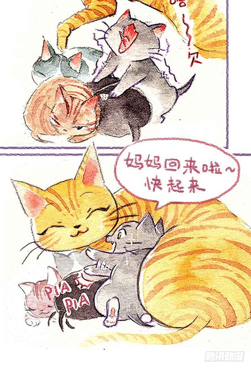 章节图片
