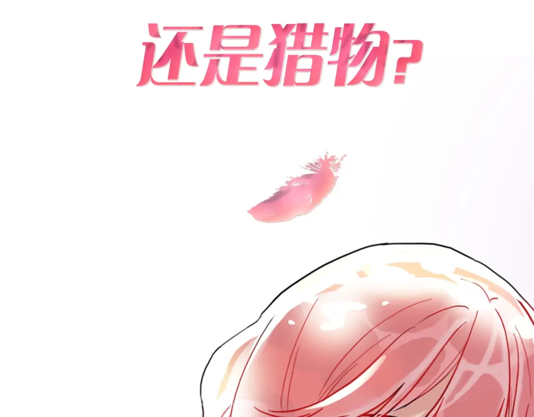 章节图片