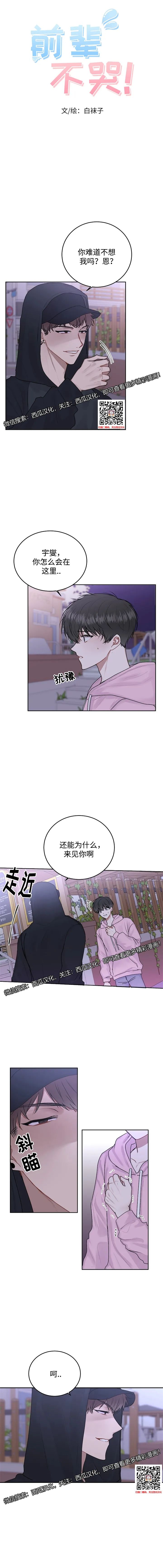 章节图片