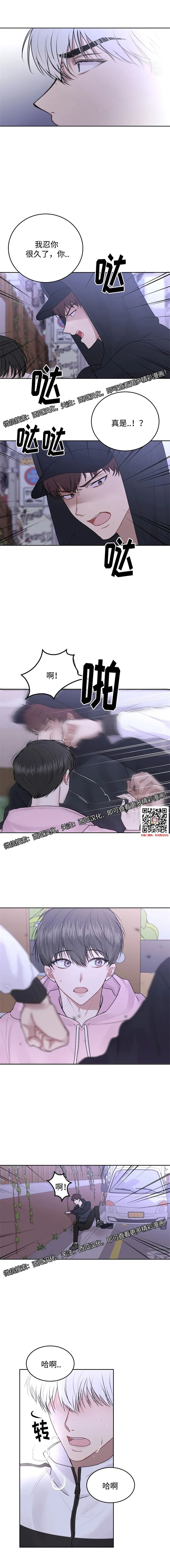 章节图片