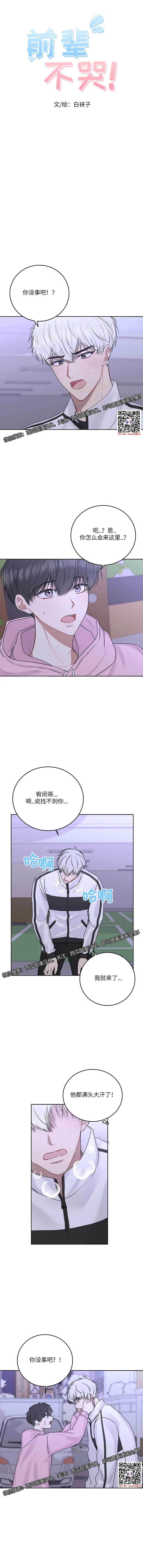 章节图片