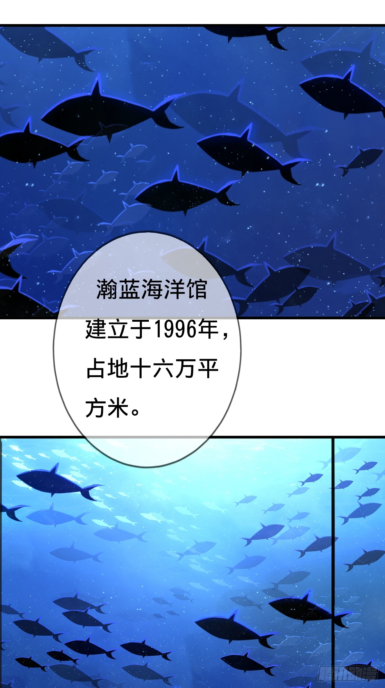 章节图片