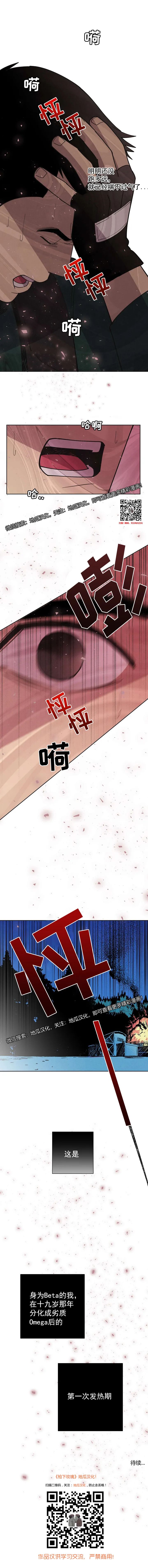 章节图片