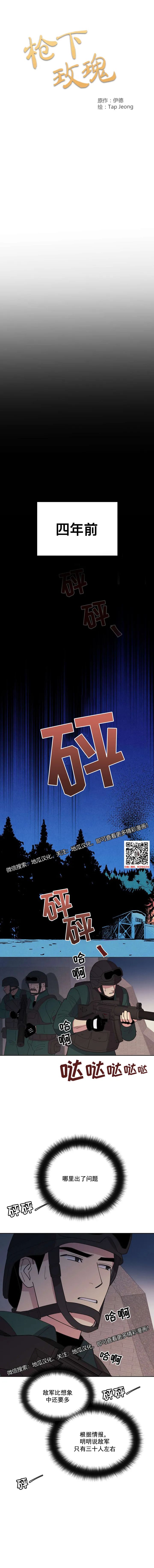 章节图片