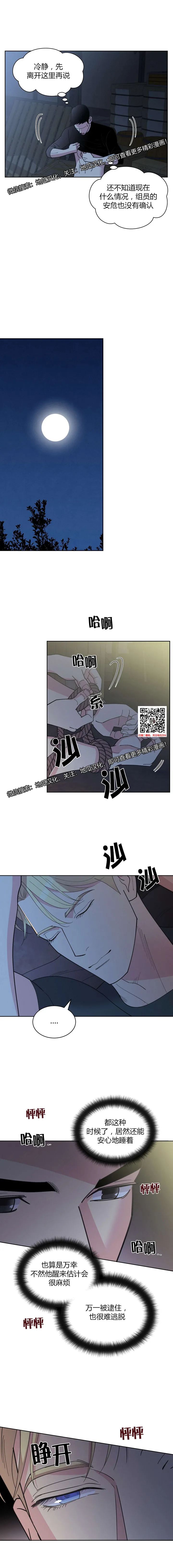 章节图片