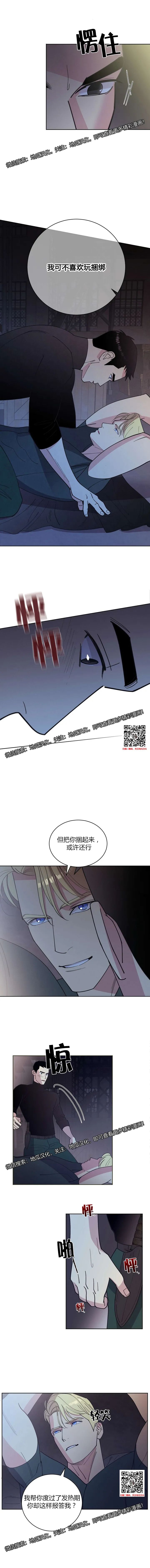 章节图片
