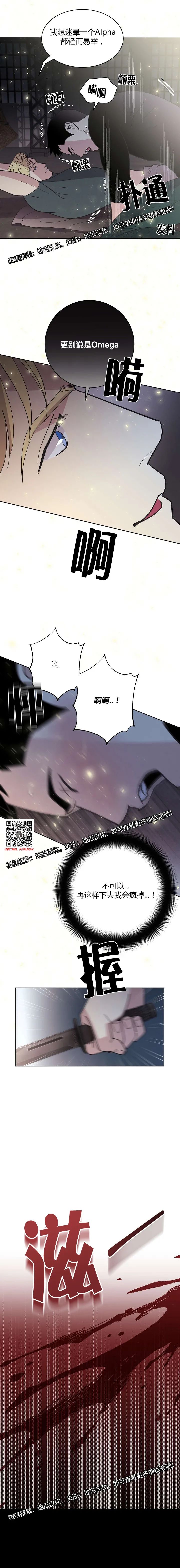 章节图片