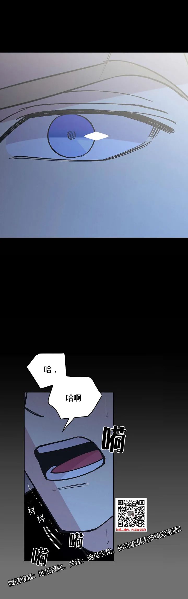 章节图片