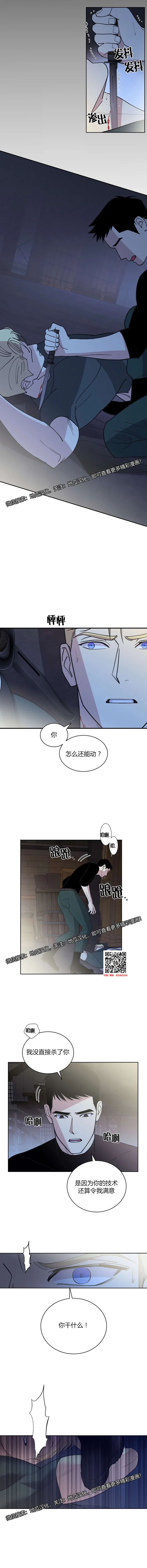 章节图片