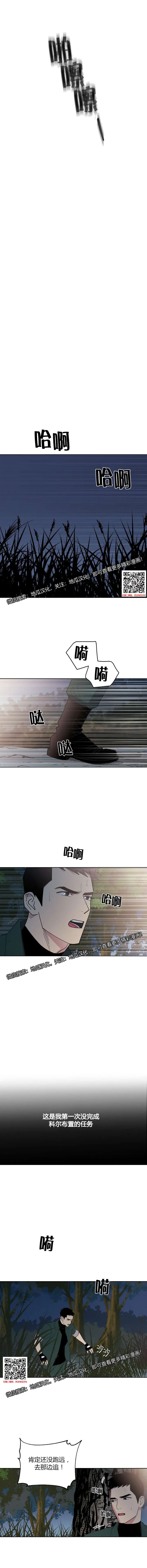 章节图片