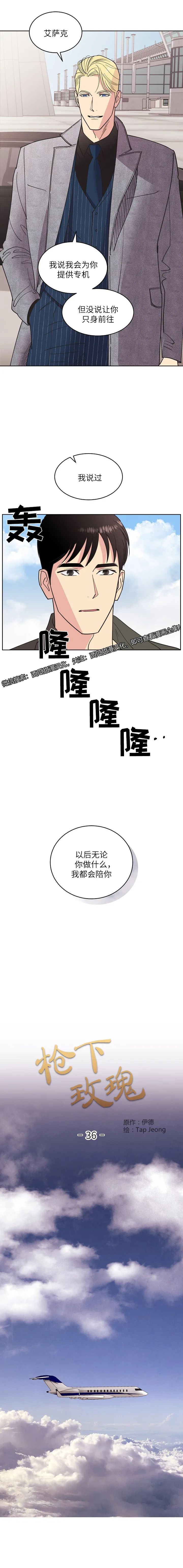 章节图片