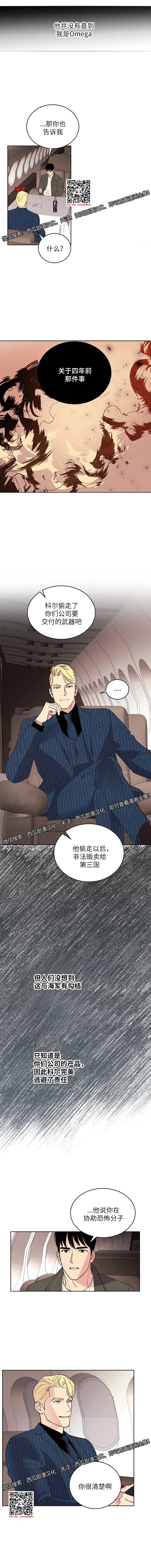 章节图片