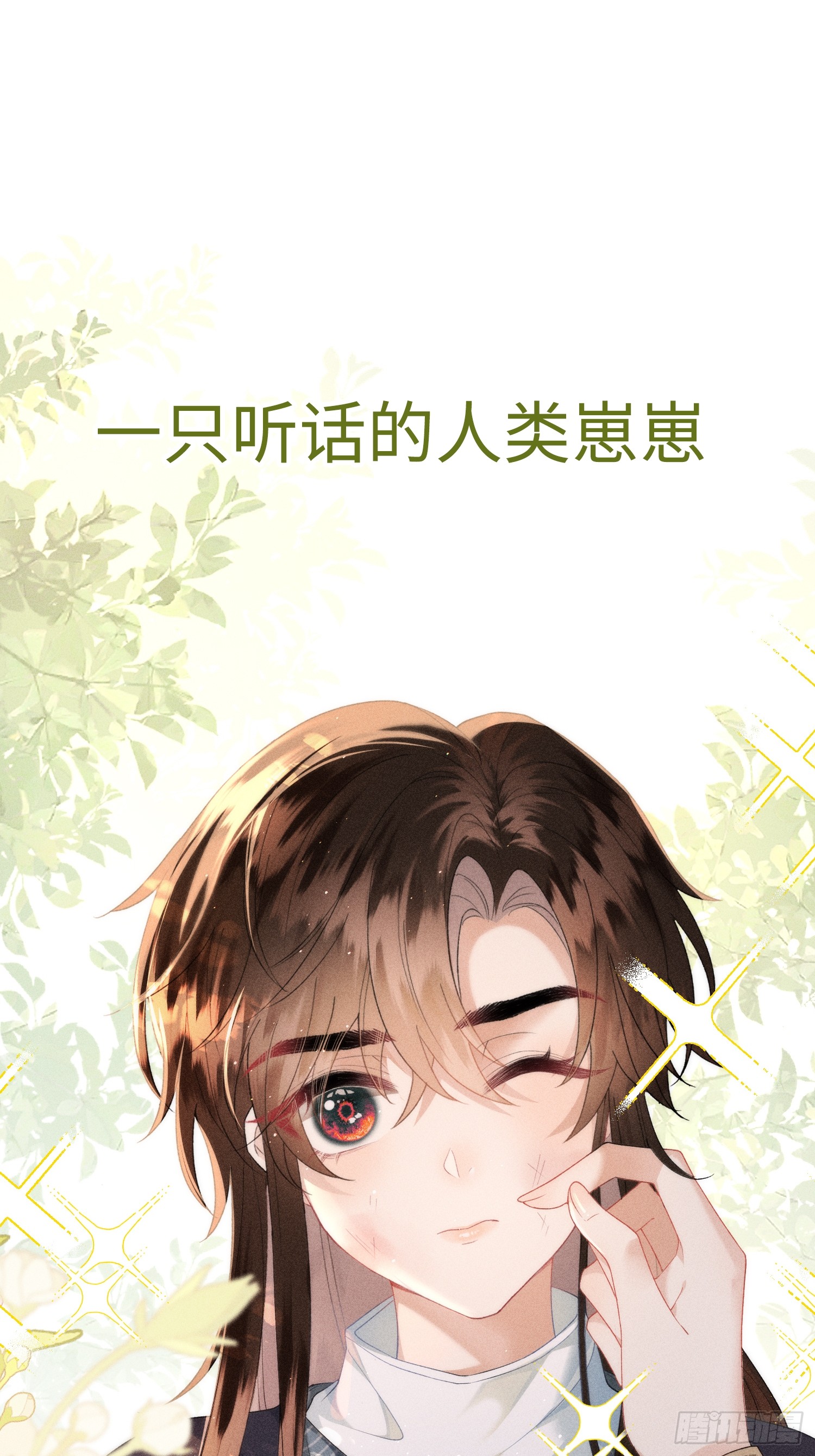 章节图片