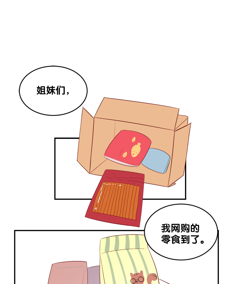 章节图片