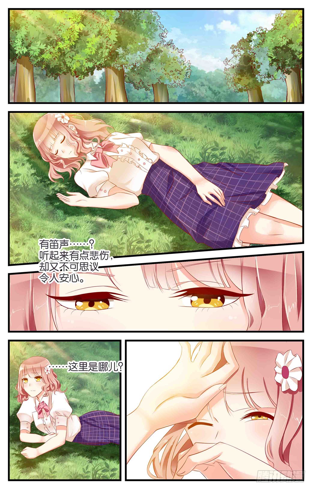 章节图片