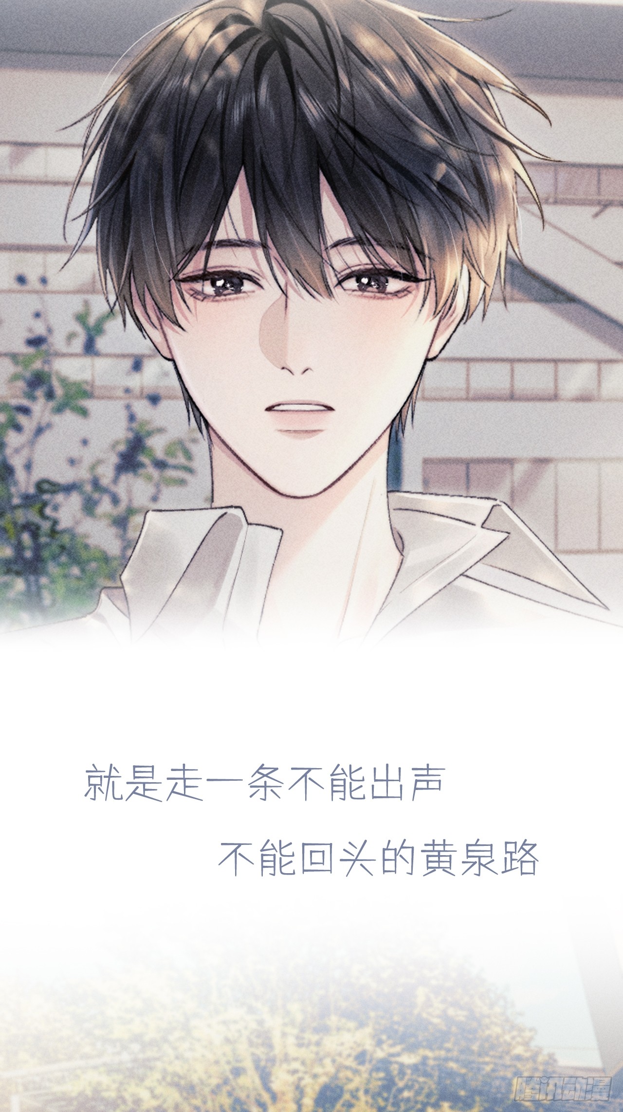 章节图片