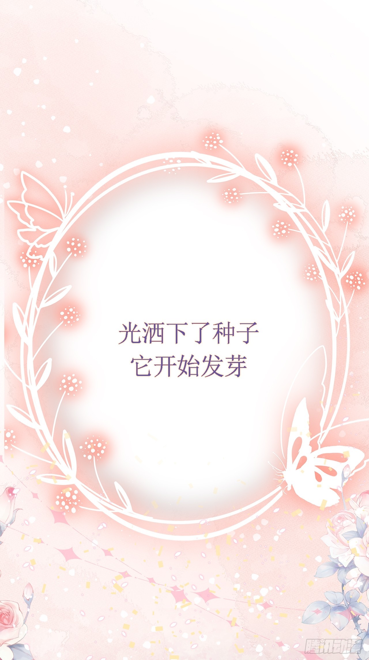 章节图片