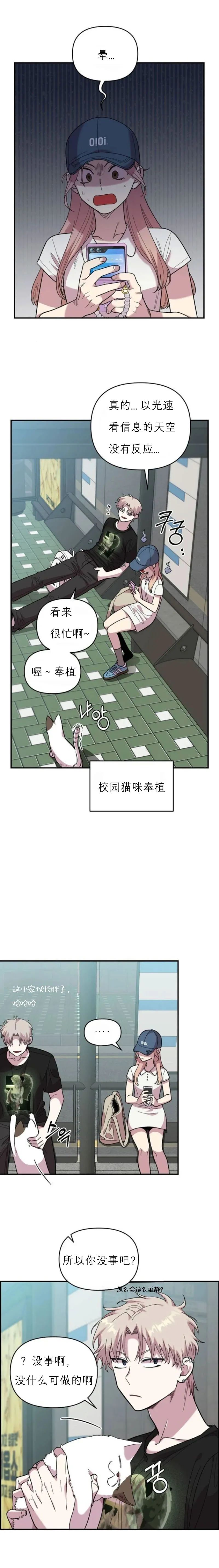 章节图片
