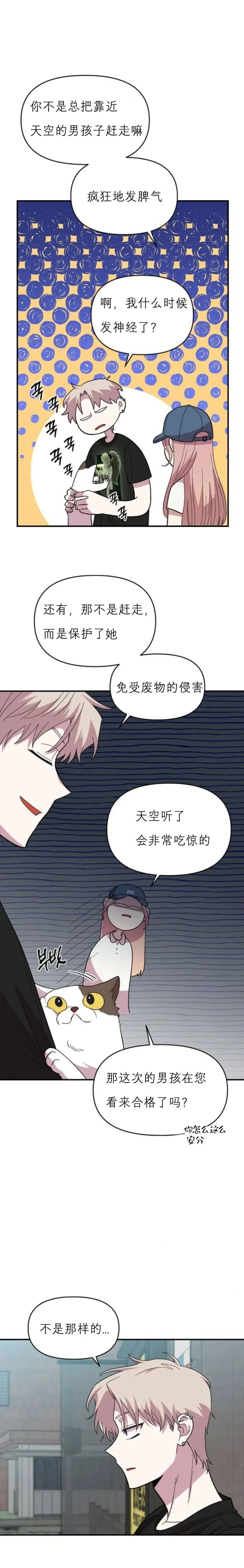 章节图片