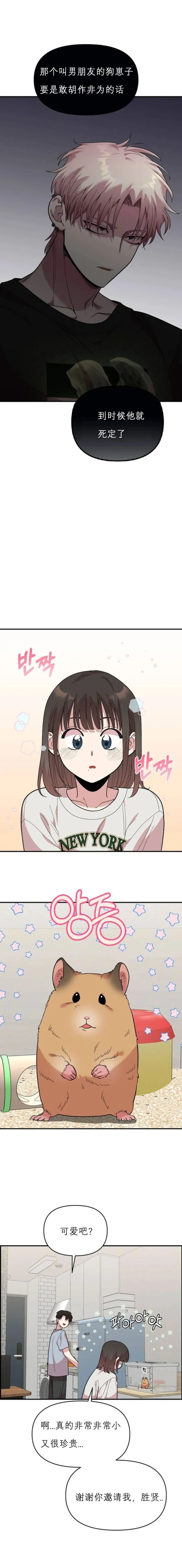 章节图片