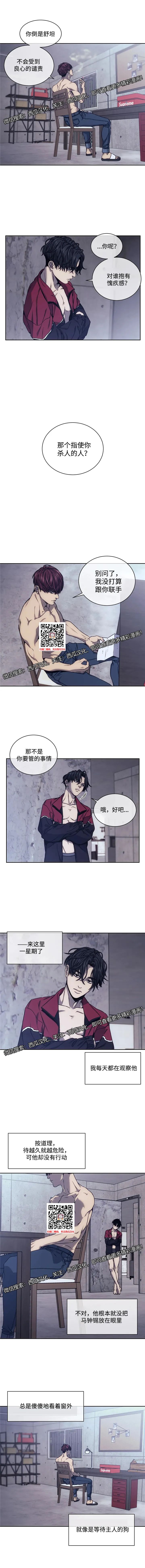 章节图片